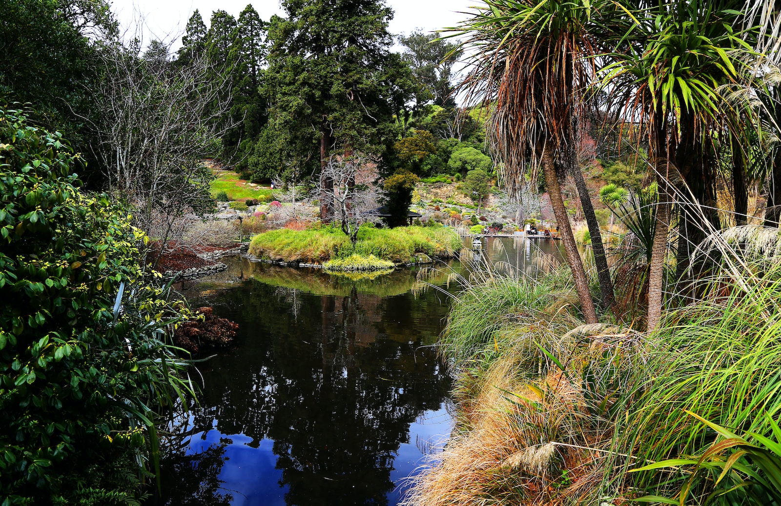 green grass and trees near river during daytime