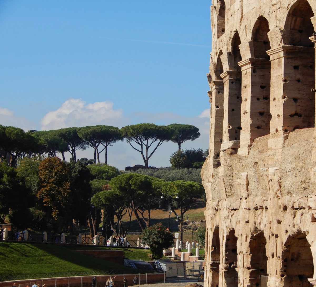 a view of a roman collisure with trees in the background